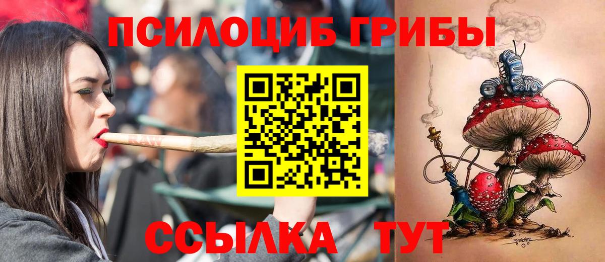 Псилоцибиновые грибы прущие грибы  Псилоцибиновые грибы Psilocybine cubensis  Советск  Вход с VPN 
